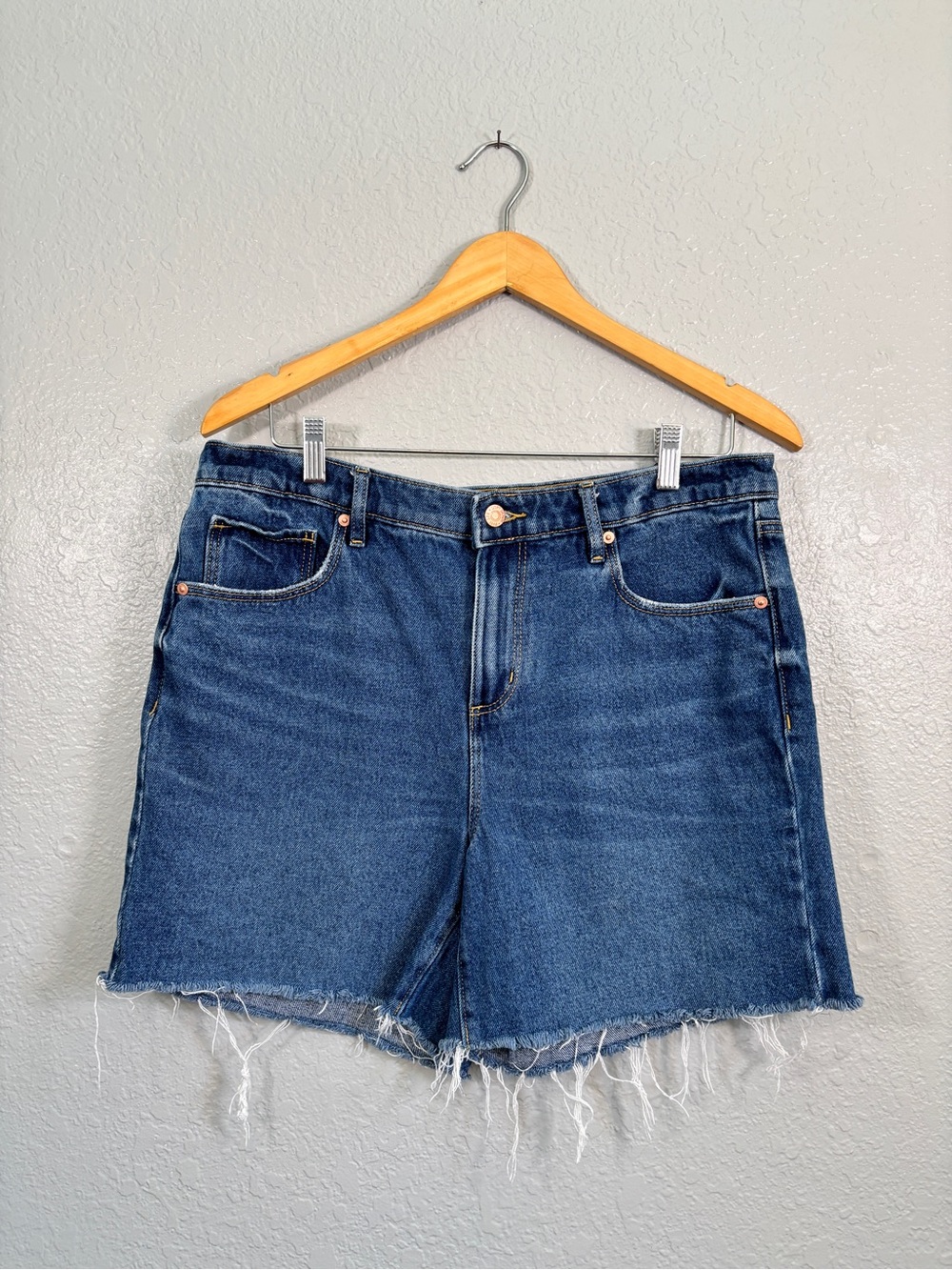 LOFT The Boyfriend High Waist Denim Shorts Sz. 29/8 (b8)
